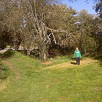 Camping and Campsites